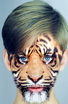 四川新华电脑学院官网-计算机IT人才培训基地