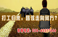 打工归来，路该走向何方？