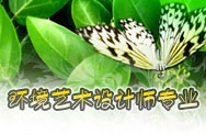 环境艺术设计师专业