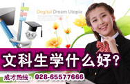 文科生学什么好