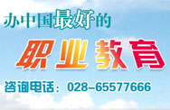 办中国最好的职业教育