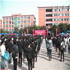 <b>IT人才供需洽谈会：100多家企业，“职”为新华</b>