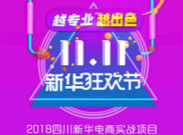 <b>越专业，越出色|嗨爆双十一！四川新华电脑学院电商合作项目突破1亿！</b>