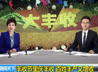 <b>互联网时代 新华电脑成功学子如何开辟“互联网+农业”的新天地</b>
