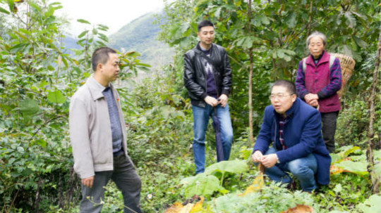 <b>新华教师奋进担当，用技能脱贫托举希望</b>