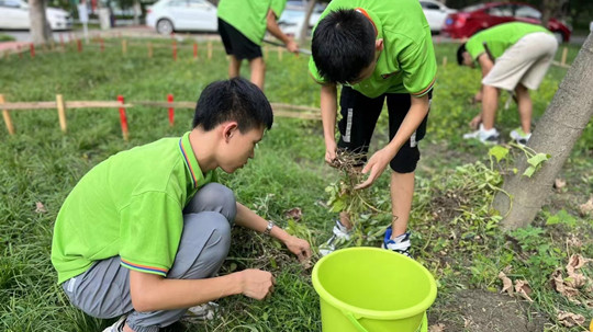 <b>丰收季来袭！新华农场喜迎丰收季~</b>