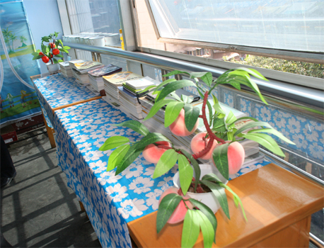 校园数字文化艺术节-寝室文化 创意无限