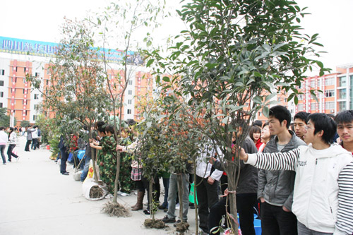 我为新华添绿色--四川新华电脑学校首届植树节活动圆满结束