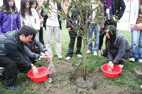 我为新华添绿色--四川新华电脑学校首届植树节活动圆满结束