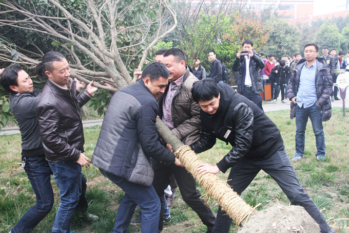 植树节:让爱与绿色传递