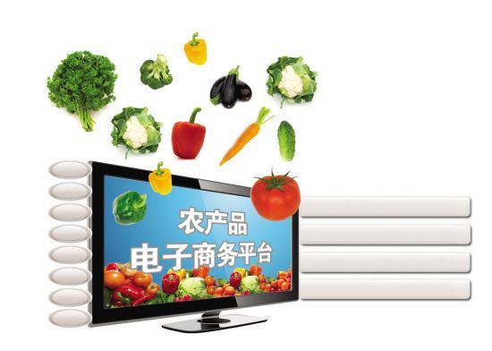 农村电子商务发展的战略与政策