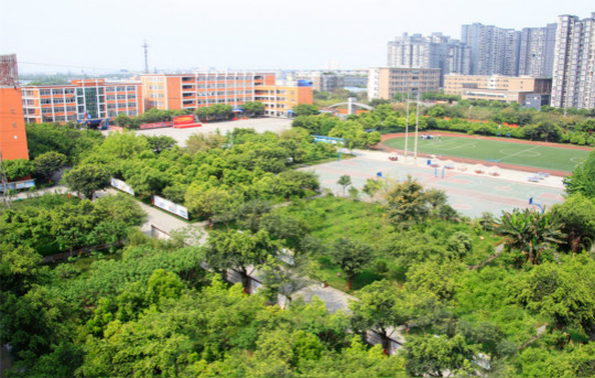 四川新华电脑学院校园赞