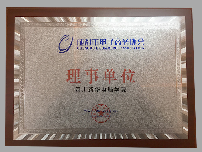 成都电子商务协会理事单位