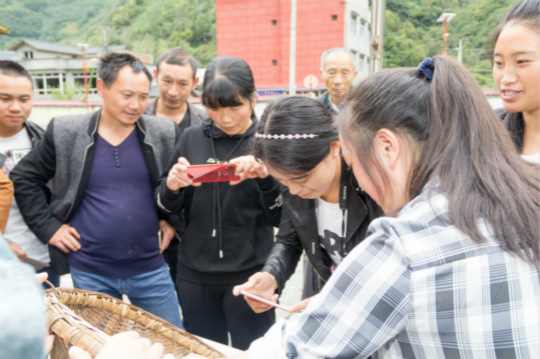 情系白羊—四川新华落实松潘白羊电商帮扶计划