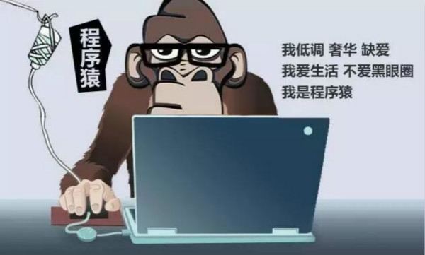 互联网大佬大多是程序员出身,你不懂程序“猿”的快乐
