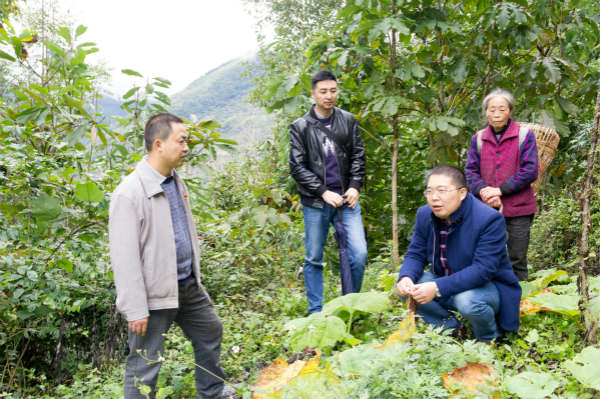 不忘初心 牢记使命 三下白羊乡 助力农村产业迈出新步伐!