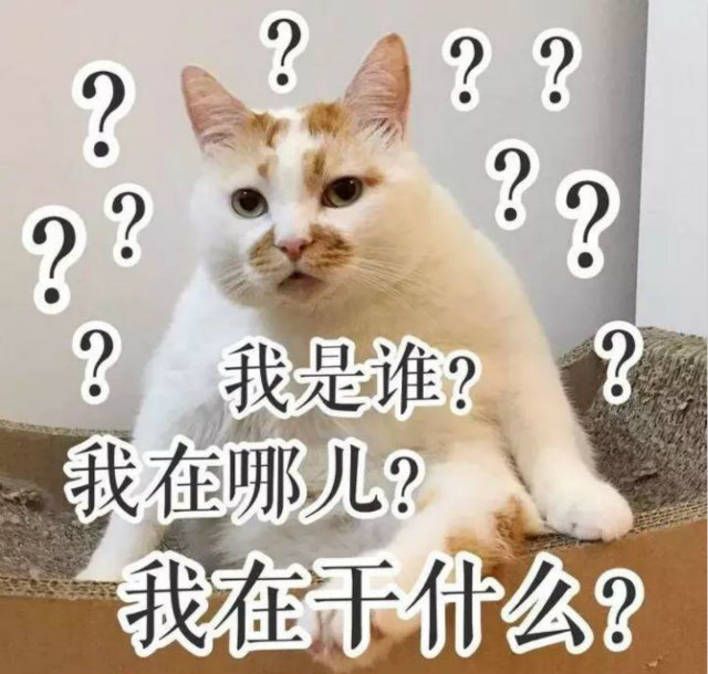 双十一最新热词出炉,快来看看你有没有中枪?