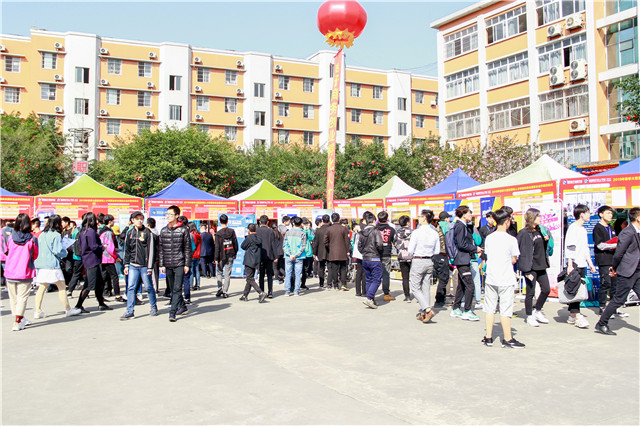 成长的力量:新华互联网科技发展变迁
