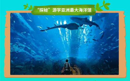 五一去哪儿?新华IT夏令营嗨爆小长假!