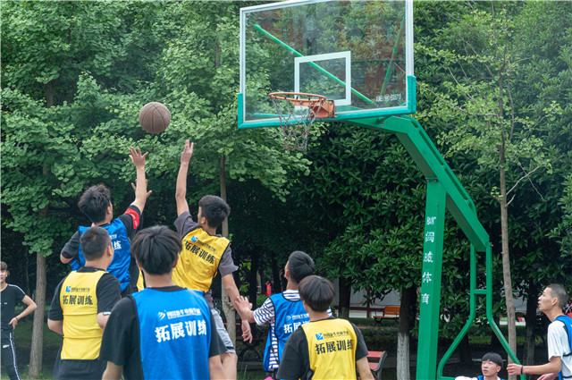 全国职教周暨第16届校园数字文化艺术节正式启动啦!