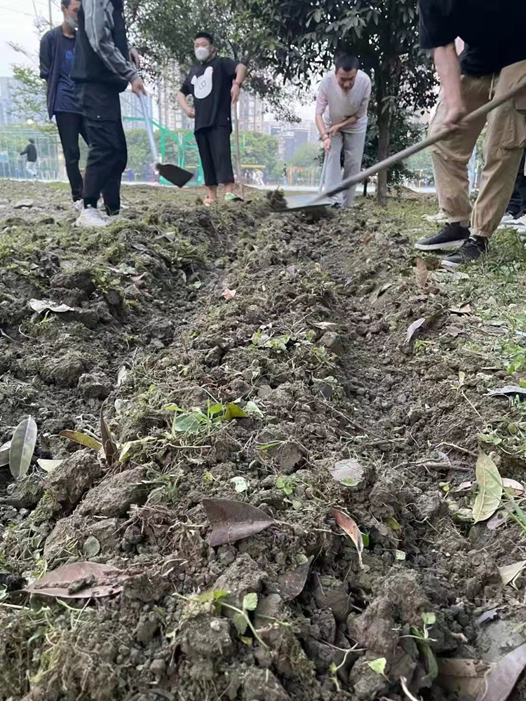 新季节新面貌|新华春季特色课程温暖来袭