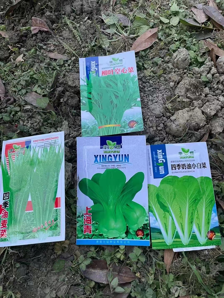 新季节新面貌|新华春季特色课程温暖来袭