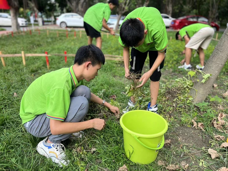 丰收季来袭!新华农场喜迎丰收季~
