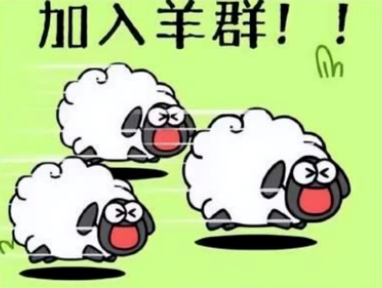 羊了个羊?成都新华四步带你无限通关!