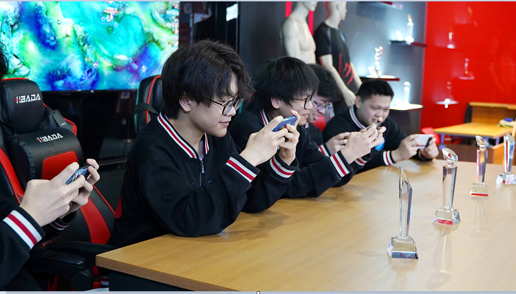 <b>第十四届2023 年“迎亚运”新华电脑教育王者荣耀电竞对抗赛</b>