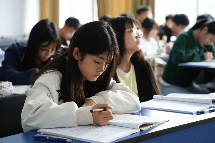 成都新华2024单招升学班开课啦!