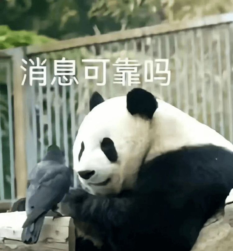 对口高考:升学压力低,还可以冲本科