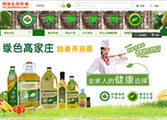  计算机软件开发工程师